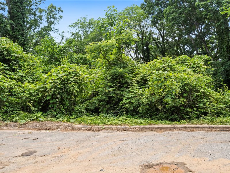 Wholesale Deal in Hickory, NC